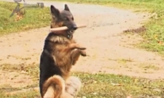 Арсенал 17.11.2013