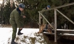 Анфас 07.02.2015