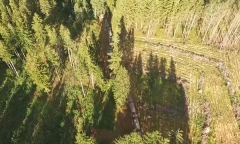 Движение колонны техники. Съемка с квадрокоптера