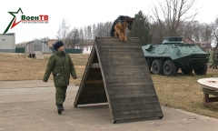 Военное обозрение 10.03.2020