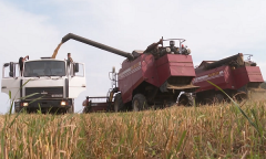 Военное обозрение 19.08.2021