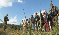 «Игры блогеров»