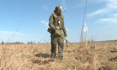 Сплошное разминирование