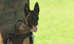 Военное обозрение 21.06.2022