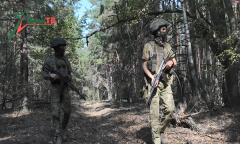 Анфас 26.10.2024