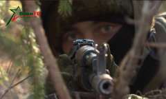 Арсенал 17.11.2024