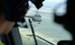 Арсенал 17.08.2025