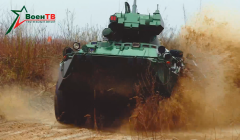 Анфас 31.05.2025