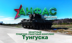 ЗПРК "Тунгуска" // Анфас
